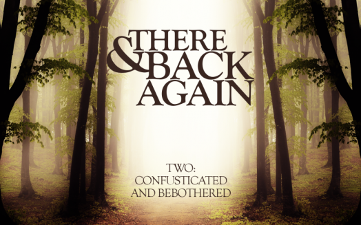 There And Back Again 2: Confusticated And Bebothered
