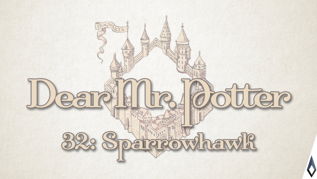 Dear Mr. Potter 32: Sparrowhawk