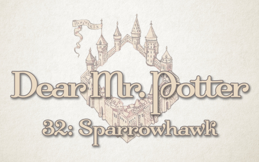 Dear Mr. Potter 32: Sparrowhawk