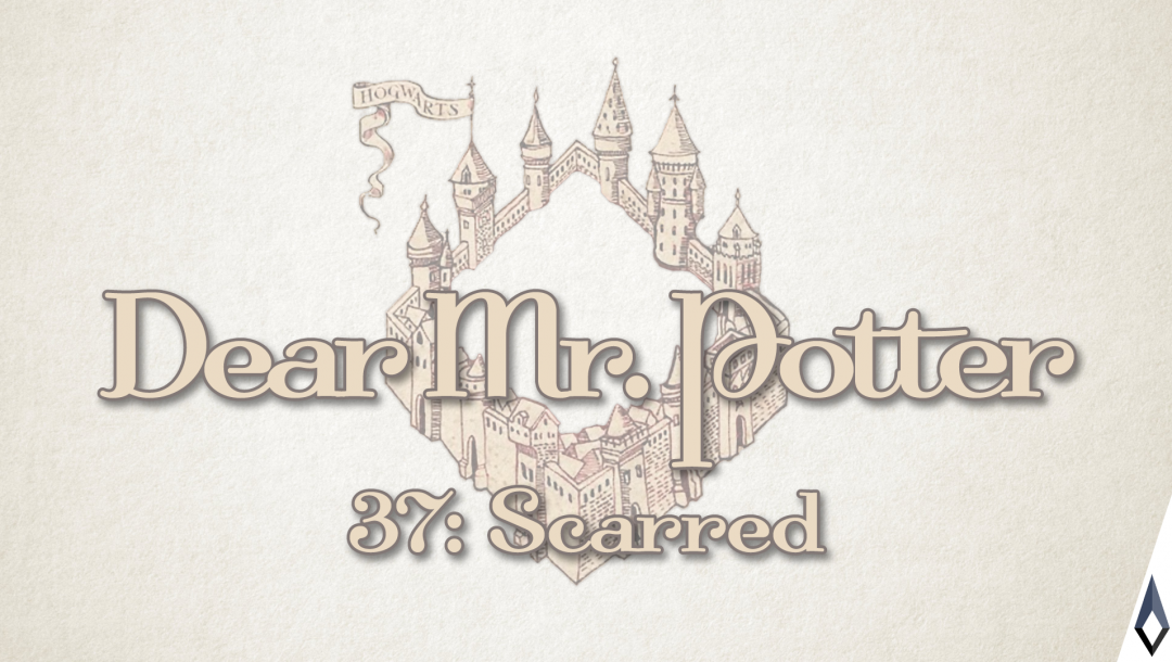 Dear Mr. Potter 37: Scarred