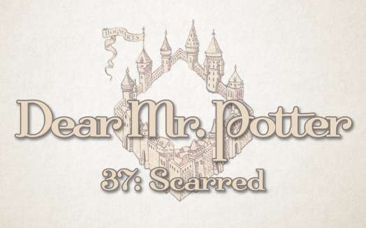 Dear Mr. Potter 37: Scarred