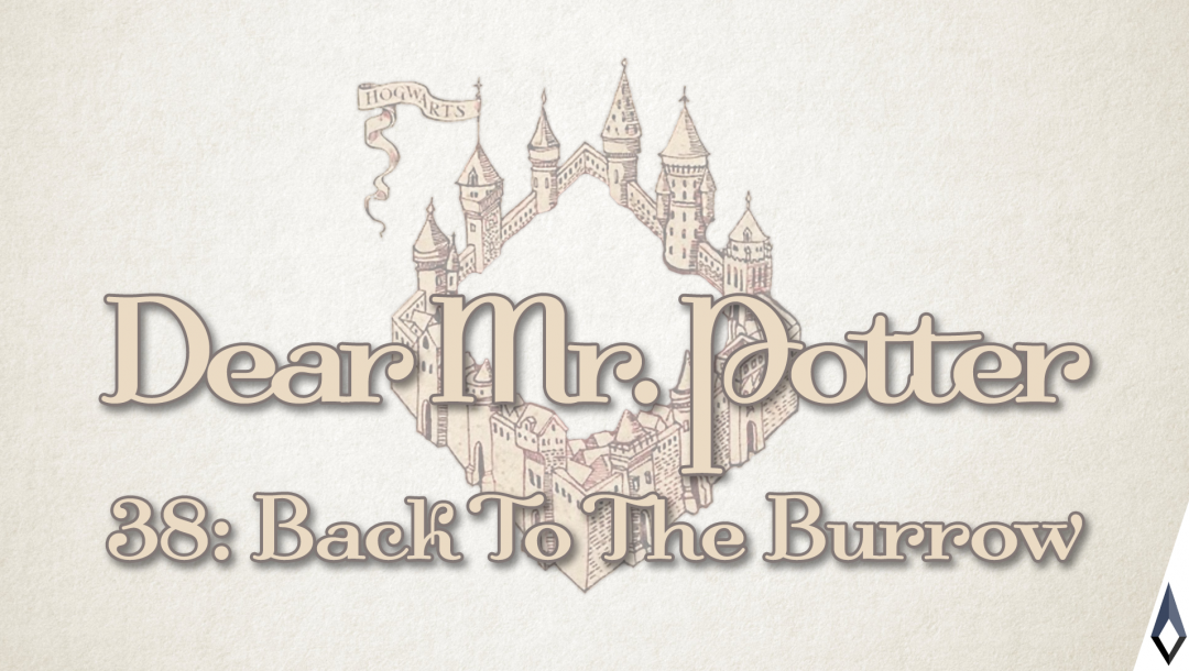 Dear Mr. Potter 38: Back To The Burrow