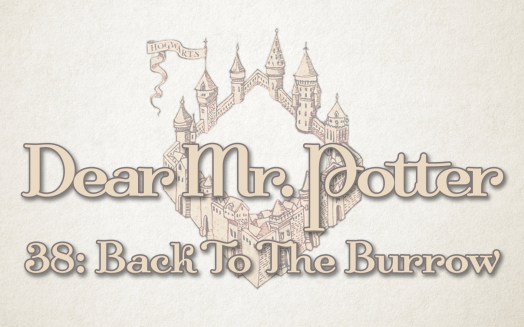 Dear Mr. Potter 38: Back To The Burrow