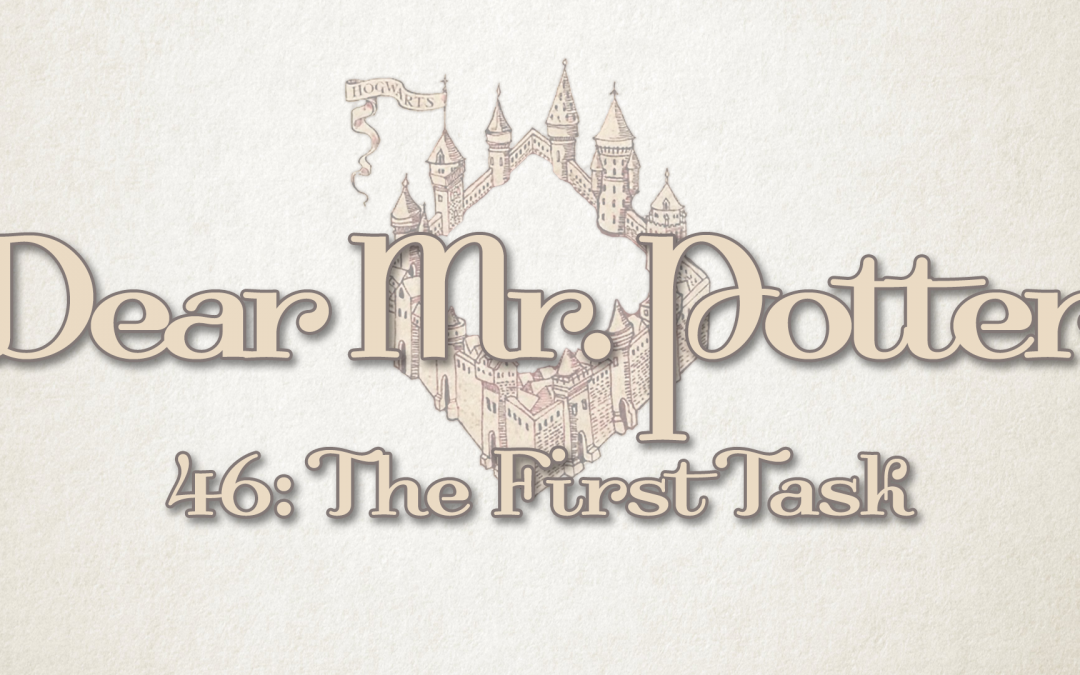 Dear Mr. Potter 46: The First Task