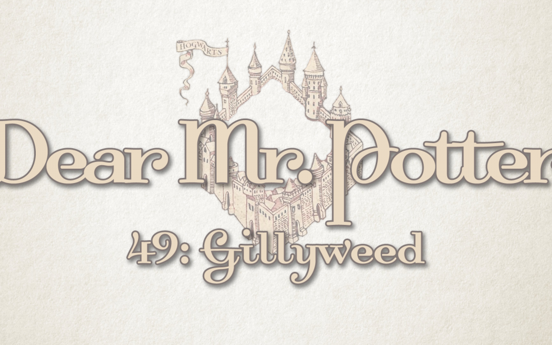 Dear Mr. Potter 49: Gillyweed