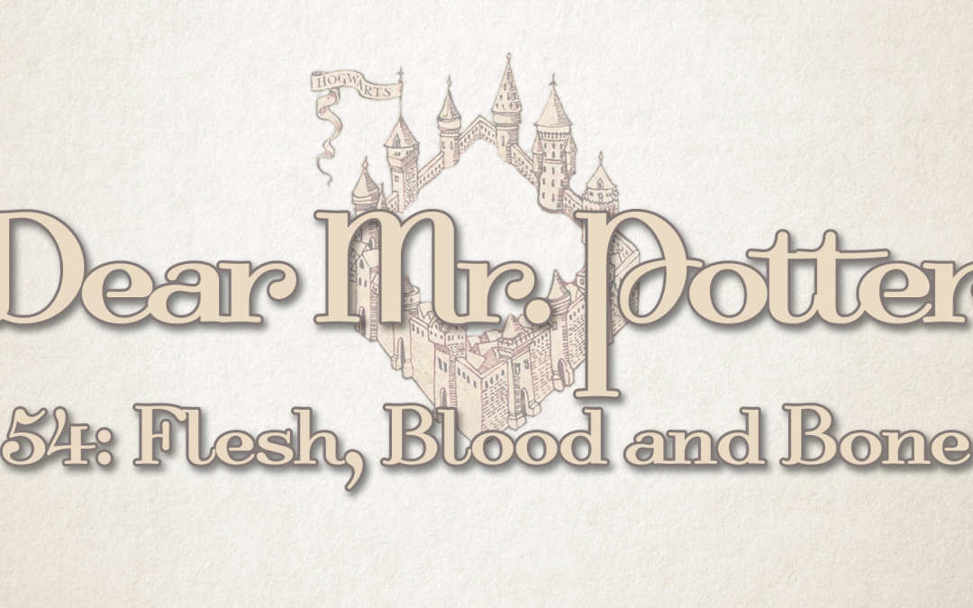 Dear Mr. Potter 54: Flesh, Blood And Bone